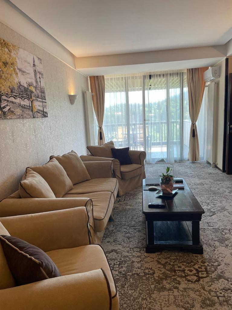 Apartament Executive Vedere Munte Alpin Resort Poiana Brasov Extérieur photo